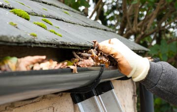 gutter cleaning Newhall Green, Warwickshire